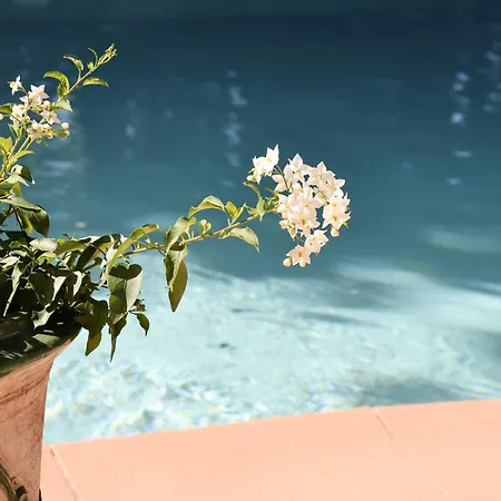 호텔 Le Pre Galoffre 3*